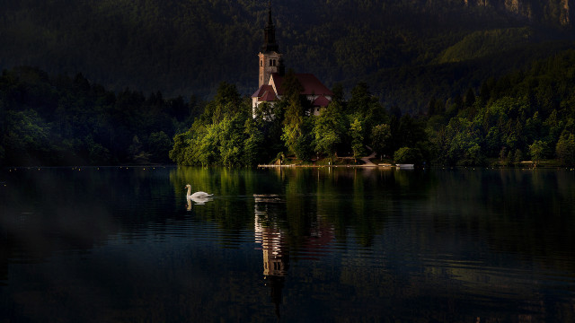 Church lake swan forest matte free wallpaper for desktop - medium preview image