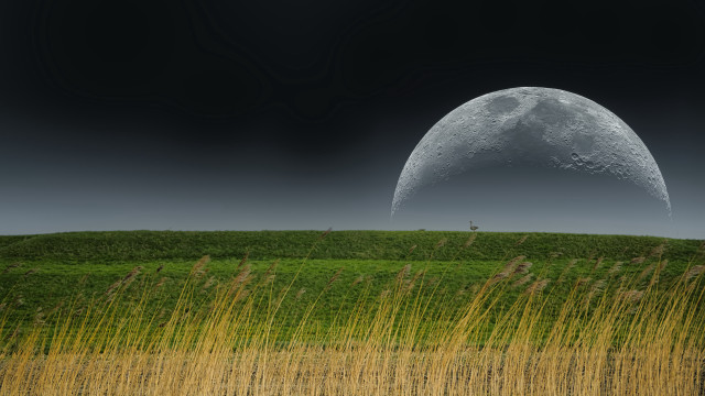 Large moon grassy field distant free wallpaper for desktop - medium preview image
