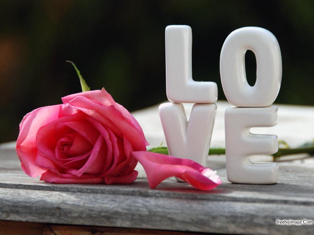 Pink rose white love wooden free wallpaper for desktop - medium preview image