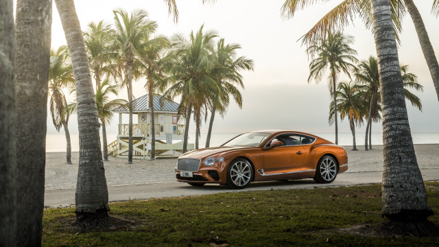 Car palm trees lifeguard tower free wallpaper for desktop - medium preview image