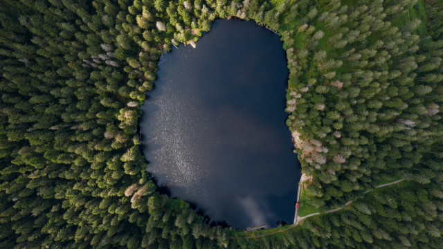 Lake forest trees sky nature free wallpaper for desktop - medium preview image