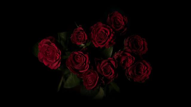 Red roses vase black background free wallpaper for desktop - medium preview image