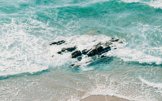 Rock ocean waves bird beach free wallpaper for desktop - medium preview image