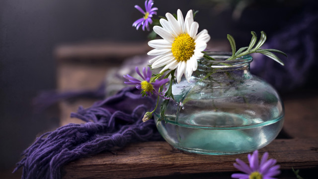 Vase water flowers purple scarf free wallpaper for desktop - medium preview image