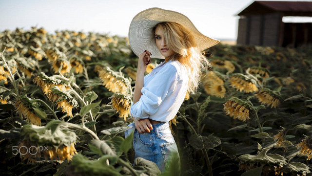 Sunflower field woman hat barn free wallpaper for desktop - medium preview image