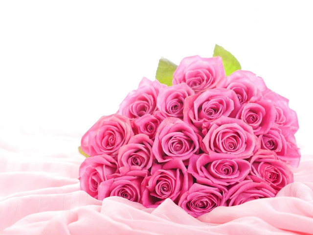 Pink roses bouquet white background free wallpaper for desktop - medium preview image