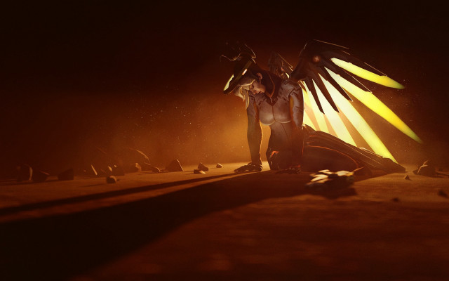 Man stage bird arm backlighting free wallpaper for desktop - medium preview image