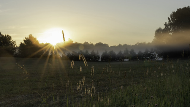 Sunset foggy forest lake cityscape free wallpaper for desktop - medium preview image