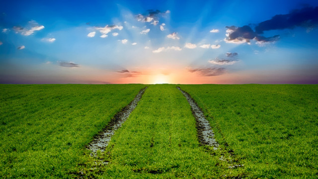 Sunset dirt road field mountain free wallpaper for desktop - medium preview image