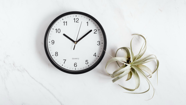 Clock plant white table black free wallpaper for desktop - medium preview image