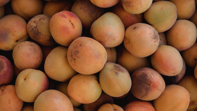 Peach brown spots yellow top free wallpaper for desktop - medium preview image
