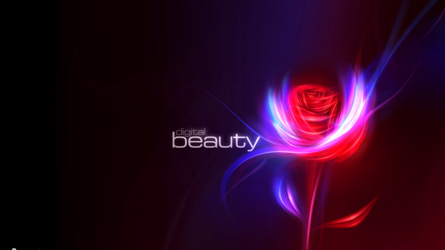 Red rose purple blue swirl free wallpaper for desktop - medium preview image