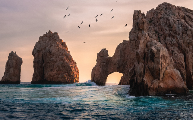 Birds ocean rock sunset matte free wallpaper for desktop - medium preview image