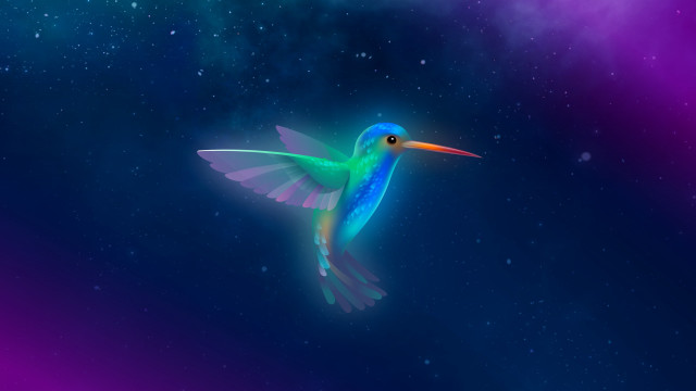 Colorful bird flying starry sky free wallpaper for desktop - medium preview image