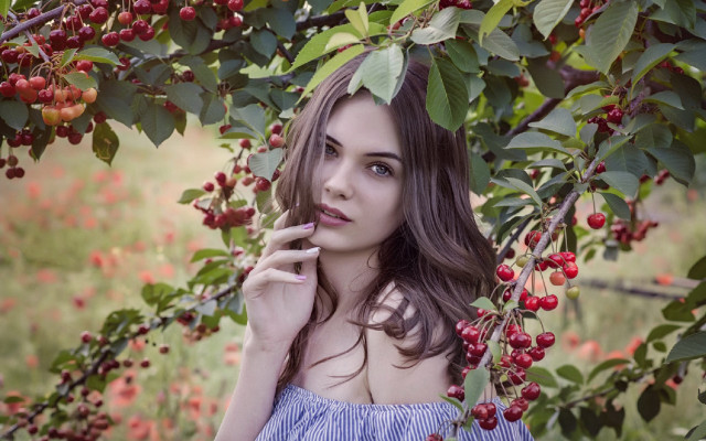 Woman blue dress berry tree free wallpaper for desktop - medium preview image