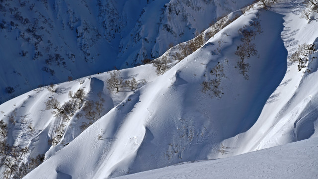 Skiing snow mountain forest winter free wallpaper for desktop - medium preview image