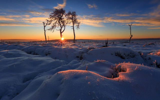 Sunset snowy field trees clouds free wallpaper for desktop - medium preview image