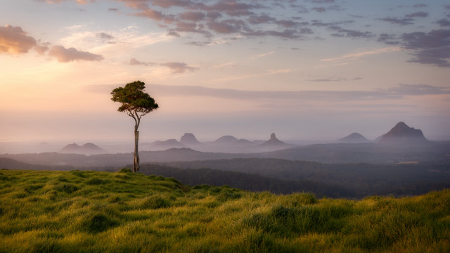 Lone tree grassy hill mountains #5 free wallpaper for desktop - medium preview image