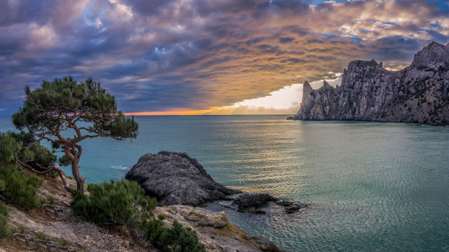 Cliff ocean sunset tree rock free wallpaper for desktop - medium preview image