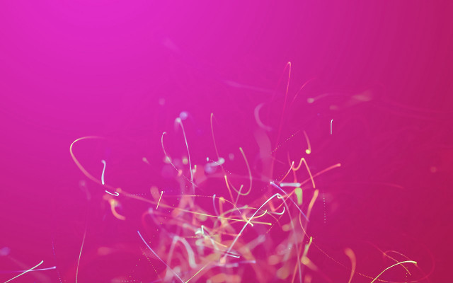 Pink branches red cloud evening free wallpaper for desktop - medium preview image