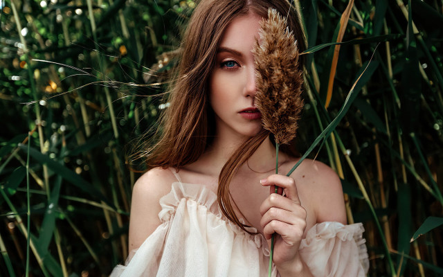 Woman holding dried plant christmas free wallpaper for desktop - medium preview image