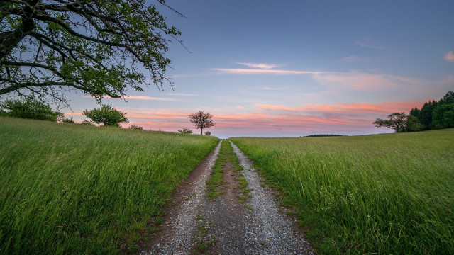 Dirt road field sunset tree free wallpaper for desktop - medium preview image