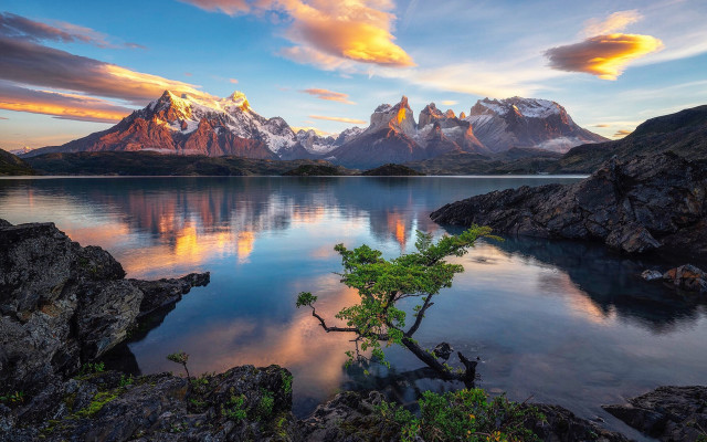 Tree lake mountains sunset landscape free wallpaper for desktop - medium preview image