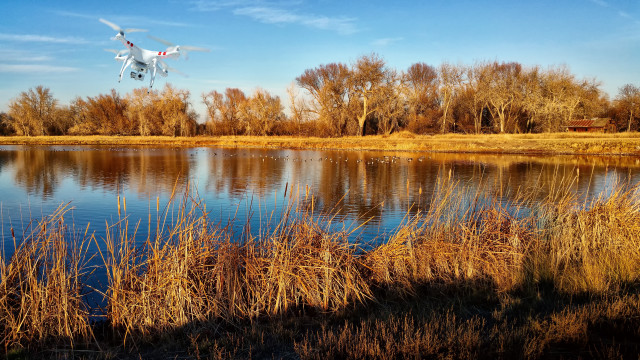Bird lake flying autumn fireworks free wallpaper for desktop - medium preview image