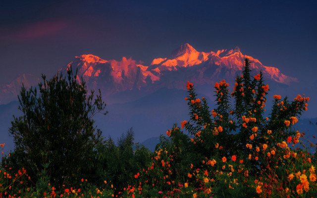 Mountain sunset flowers trees autumn free wallpaper for desktop - medium preview image