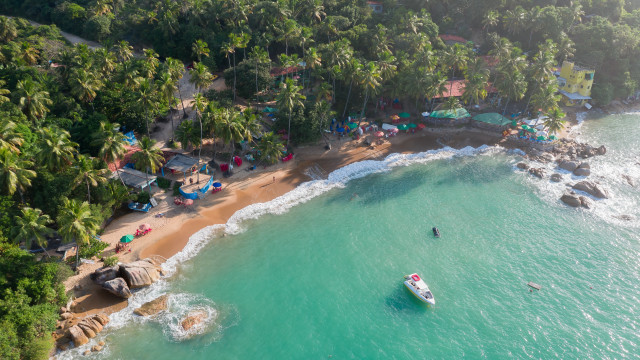 Boat beach palm trees shore free wallpaper for desktop - medium preview image