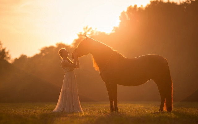 Woman dress horse sunset backlit free wallpaper for desktop - medium preview image
