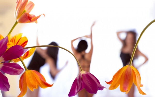 Women flower vase summer butterfly free wallpaper for desktop - medium preview image