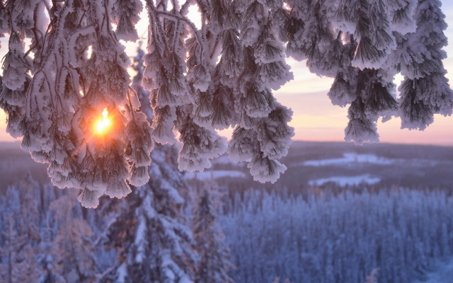 Sunshine snow trees winter lake free wallpaper for desktop - medium preview image