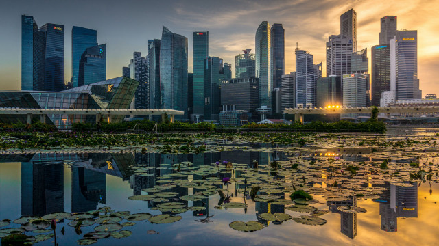 City skyline lake lily pads free wallpaper for desktop - medium preview image