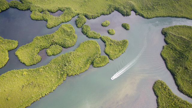Boat river green trees bascove free wallpaper for desktop - medium preview image