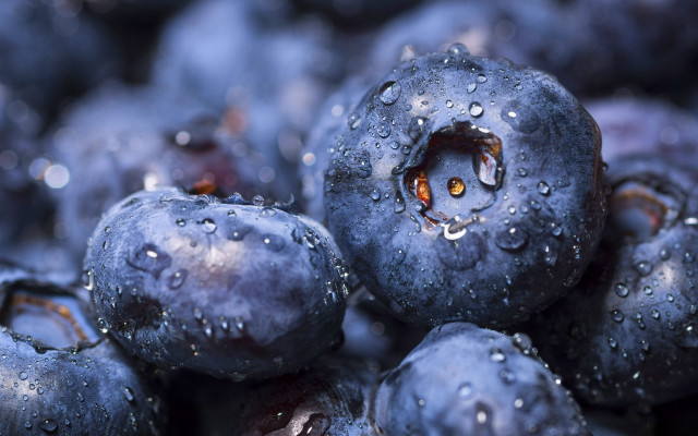 Blueberries water drops black background free wallpaper for desktop - medium preview image