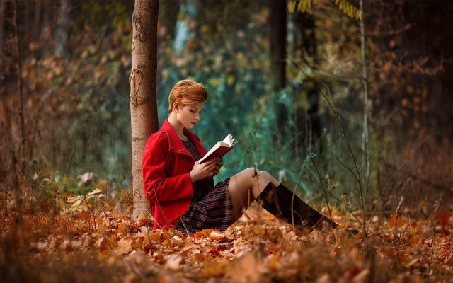 Woman woods reading book autumn free wallpaper for desktop - medium preview image