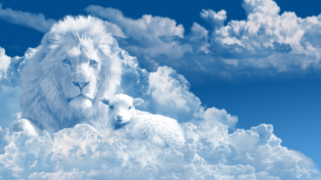 Lion lamb cloud sky mountains free wallpaper for desktop - medium preview image