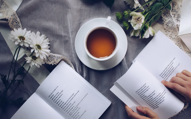 Person reading book tea flowers free wallpaper for desktop - medium preview image