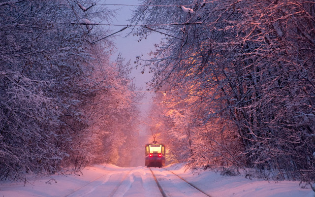 Snowy forest train night magic free wallpaper for desktop - medium preview image