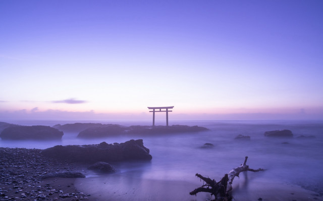 Lone tree stump rocky beach free wallpaper for desktop - medium preview image