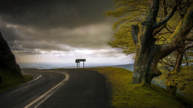 Road sign tree cloudy sky free wallpaper for desktop - medium preview image