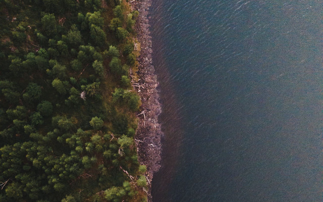 Boat shore tree night starry free wallpaper for desktop - medium preview image