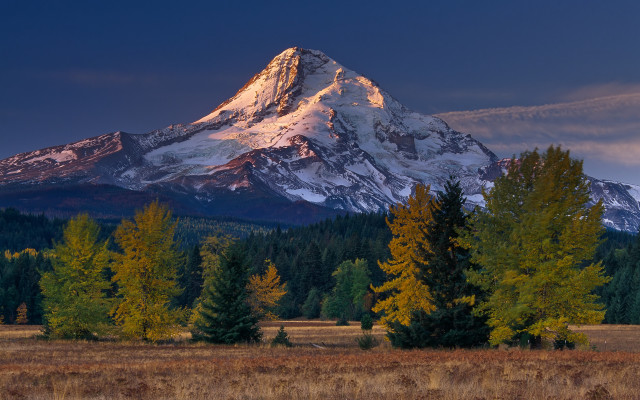 Mountain snowcapped forest lake sunset free wallpaper for desktop - medium preview image