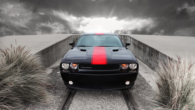 Black car red stripe cobra free wallpaper for desktop - medium preview image