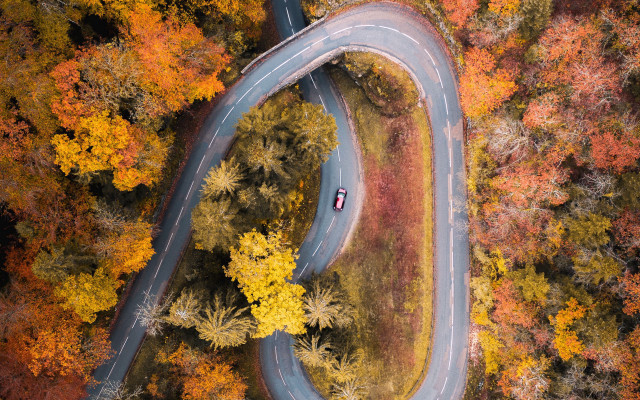 Car winding road autumn forest free wallpaper for desktop - medium preview image