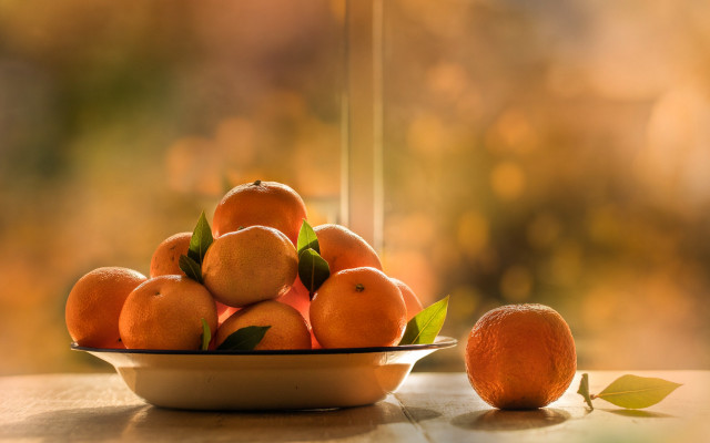 Bowl oranges leafy branch still free wallpaper for desktop - medium preview image
