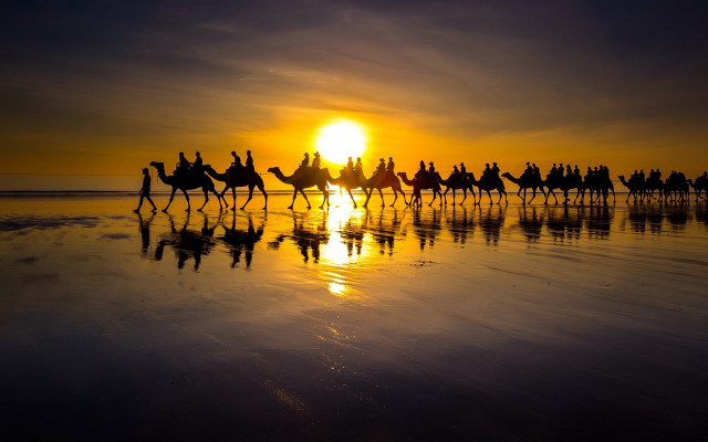 Camel riders beach sunset portrait free wallpaper for desktop - medium preview image