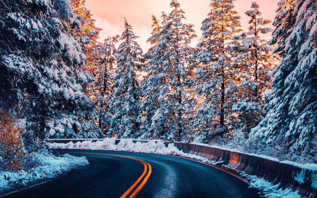 Winter forest sunset starry sky free wallpaper for desktop - medium preview image