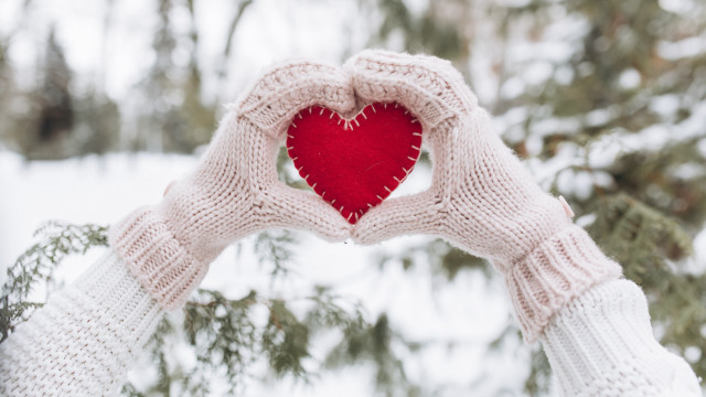 Romantic snowy heart hands pine free wallpaper for desktop - medium preview image
